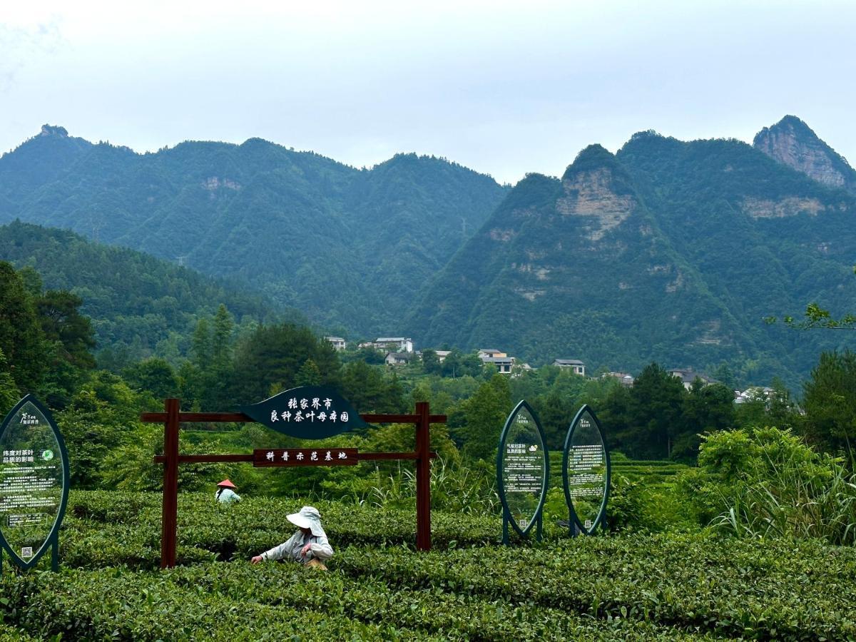 Zhangjiajie National Park Nvue Resorts Εξωτερικό φωτογραφία